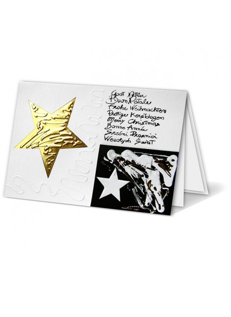 Kartka Bożonarodzeniowa z logo ze Złotą Gwiazdą oraz Mazajkami W011220